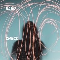 Thumbnail for the Bleu - Check link, provided by host site