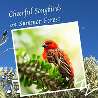 Thumbnail for the Nature Sound Series - Cheerful Songbirds on Summer Forest link, provided by host site