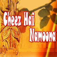 Thumbnail for the Raj - Cheez Hai Namoona link, provided by host site