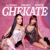 Thumbnail for the La Joaqui - CHEKATE link, provided by host site