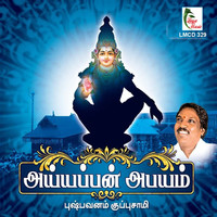 Thumbnail for the Ananthu - Chendai Satham link, provided by host site