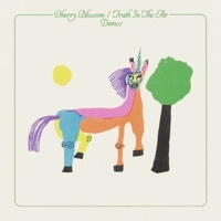 Thumbnail for the Rubblebucket - Cherry Blossom / Truth in the Air - Demos link, provided by host site