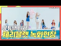 Thumbnail for the Cherry Bullet - [Fact in star/공개녹화현장] 체리블렛(CherryBullet) link, provided by host site