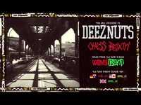Thumbnail for the Deez Nuts - Chess Boxin' link, provided by host site