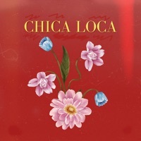 Thumbnail for the Mando - Chica Loca link, provided by host site
