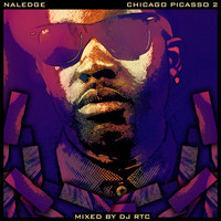 Thumbnail for the Naledge - Chicago Picasso 2 link, provided by host site