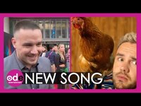 Thumbnail for the Liam Payne - Chicken Chums Co-Star in New link, provided by host site