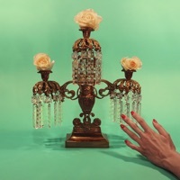 Thumbnail for the Tropic of Cancer - Children of a Lesser God link, provided by host site