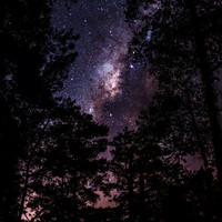 Thumbnail for the Asian Zen Meditation - Chillout Binaural Frequencies link, provided by host site
