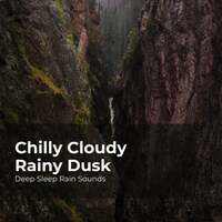 Image of Deep Sleep Rain Sounds linking to their artist page due to link from them being at the top of the main table on this page