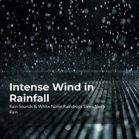Thumbnail for the Sleep Rain - Chilly Pouring Rain link, provided by host site