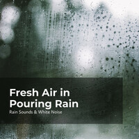 Thumbnail for the Sleep Rain - Chilly Rainy Weather link, provided by host site