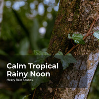 Thumbnail for the Rain Shower Spa - Chilly Stormy Weather link, provided by host site