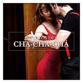 Thumbnail for the Bebo Valdés - Chipi Chipi link, provided by host site