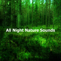 Thumbnail for the Nature Sound Series - Chirruping Chirps link, provided by host site