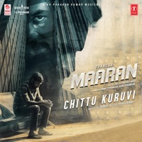 Thumbnail for the Dhanush - Chittu Kuruvi (From "Maaran") link, provided by host site