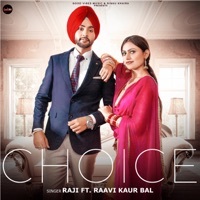 Thumbnail for the Raji - Choice link, provided by host site