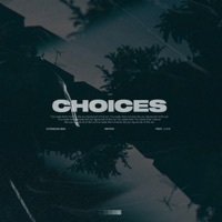 Thumbnail for the NATIIVE - Choices link, provided by host site