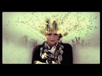 Thumbnail for the The Joy Formidable - Cholla link, provided by host site