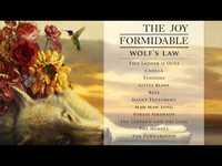 Thumbnail for the The Joy Formidable - Cholla from Wolf's Law link, provided by host site