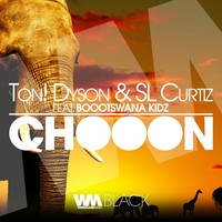 Thumbnail for the Ton! Dyson - Chooon link, provided by host site