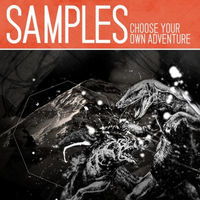 Thumbnail for the Samples - Choose Your Own Adventure link, provided by host site