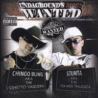 Thumbnail for the Chingo Bling - Chout Outs link, provided by host site