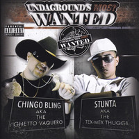 Thumbnail for the Chingo Bling - Chout Outs link, provided by host site