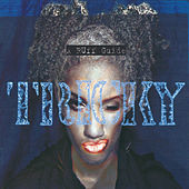 Thumbnail for the Tricky - Christiansands link, provided by host site