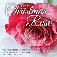 Thumbnail for the Cor Bakker - Christmas Blues link, provided by host site