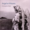 Thumbnail for the Kenneth Young - Christopher Blake: Angel At Ahipara link, provided by host site
