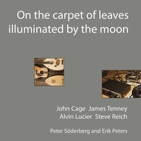 Thumbnail for the James Tenney - Chromatic Canon (For Lute and Live Electronics) link, provided by host site