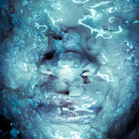 Thumbnail for the Shaun Ross - Chrysalis link, provided by host site