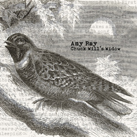 Thumbnail for the Amy Ray - Chuck Will's Widow (Video Mix) link, provided by host site