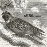 Thumbnail for the Amy Ray - Chuck Will's Widow (Video Mix) link, provided by host site