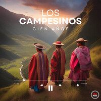 Thumbnail for the Los Campesinos! - Cien Años link, provided by host site