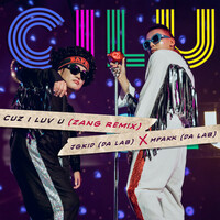 Thumbnail for the Da LAB - CILU - Zang Remix link, provided by host site