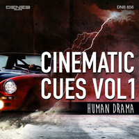 Thumbnail for the Paolo Vivaldi - Cinematic Cues, Vol. 1 (Human Drama) link, provided by host site