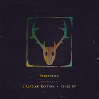 Thumbnail for the Pedestrian - Circadian Rhythms Remixes link, provided by host site