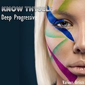 Thumbnail for the Christos Fourkis - Circles (Bobby Deep Dub Mix) link, provided by host site