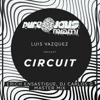 Thumbnail for the Luis Vazquez - CIRCUIT link, provided by host site