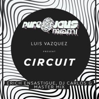 Thumbnail for the Luis Vazquez - CIRCUIT (Erich Ensastigue & DJ CARLOS G Remix) link, provided by host site