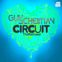 Thumbnail for the Guy Scheiman - Circuit (The Remixes) link, provided by host site