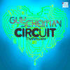 Thumbnail for the Guy Scheiman - Circuit (The Remixes) link, provided by host site