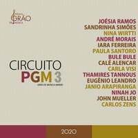 Thumbnail for the Varios Artistas - Circuito Pgm 3 link, provided by host site
