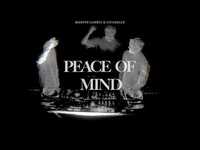 Thumbnail for the Martin Garrix - Peace Of Mind link, provided by host site