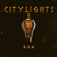 Thumbnail for the D.N.A - city lights3 link, provided by host site