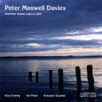 Thumbnail for the Guy Cowley - Clarinet Sonata: III. Adagio - Lento molto link, provided by host site