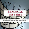 Thumbnail for the Hamburg Rundfunk-Sinfonieorchester - Classical Best Hits - Mendelssohn, Grieg, Brahms, Bizet, Strauss link, provided by host site