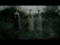 Thumbnail for the Adrian von Ziegler - Classical Gothic Music - III link, provided by host site